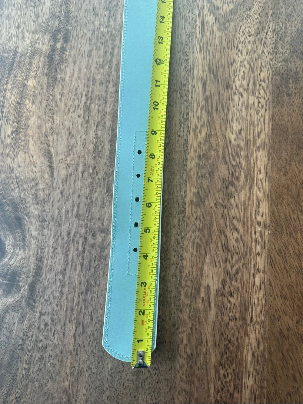 Anthropologie Blue & White Color-block Leather Belt